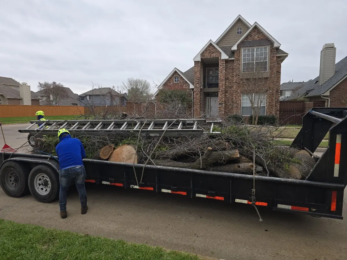 Expert Lot Clearing with proper safety equipment in Longford